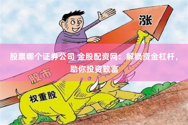 股票哪个证券公司 金股配资网:解锁资金杠杆,助你投资致富