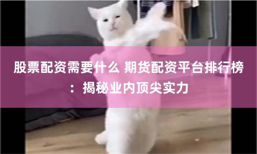 股票配资需要什么 期货配资平台排行榜：揭秘业内顶尖实力