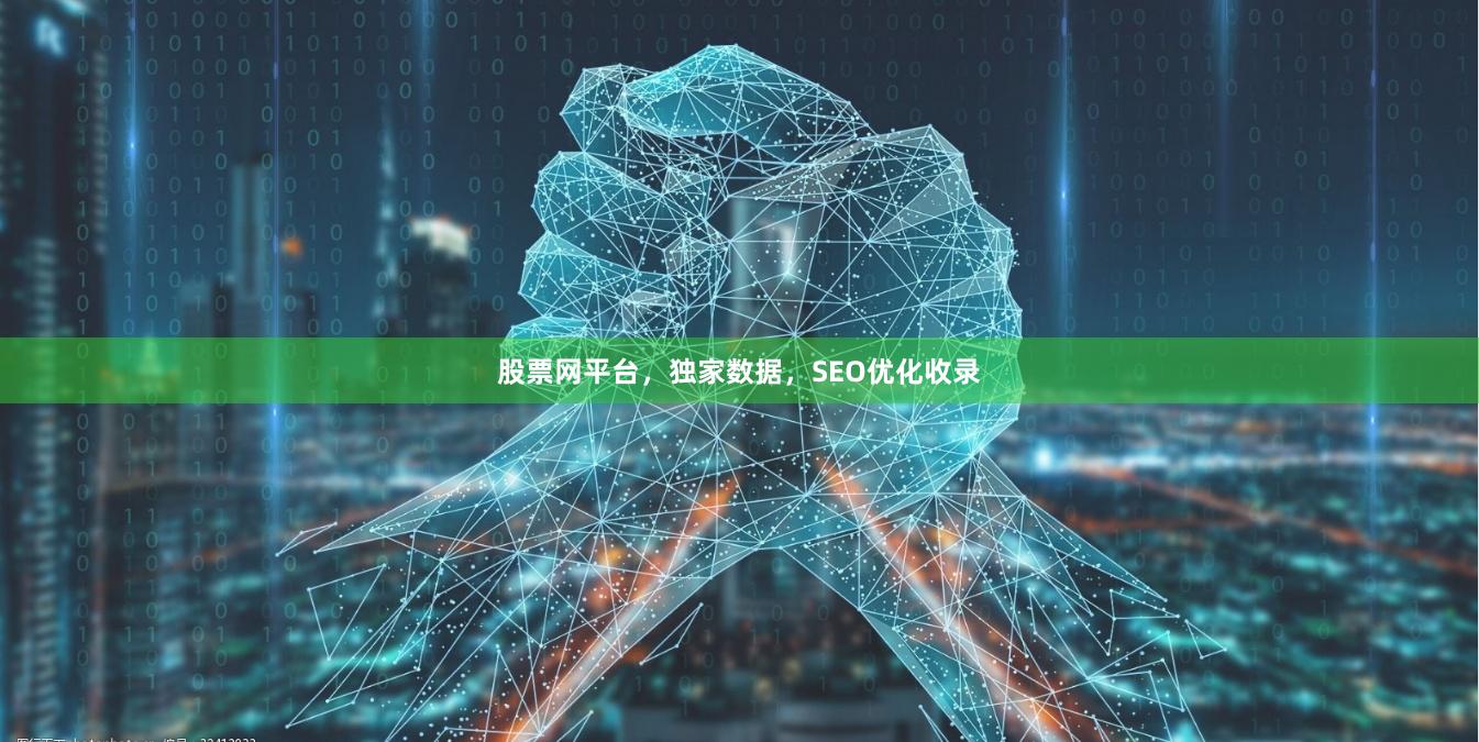 股票网平台，独家数据，SEO优化收录
