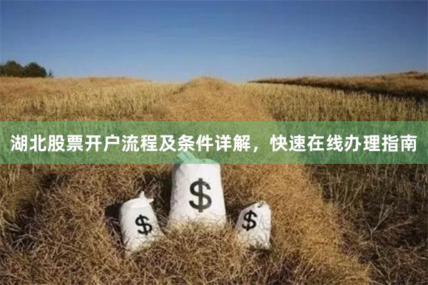 湖北股票开户流程及条件详解，快速在线办理指南