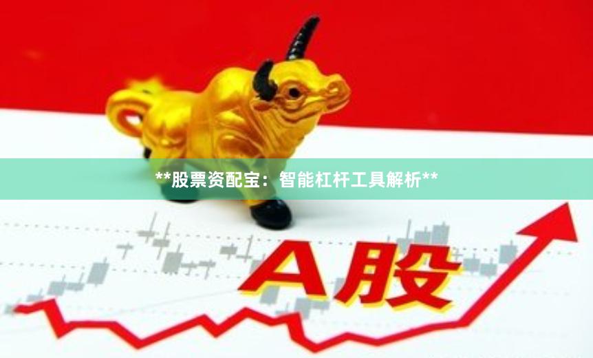 **股票资配宝：智能杠杆工具解析**
